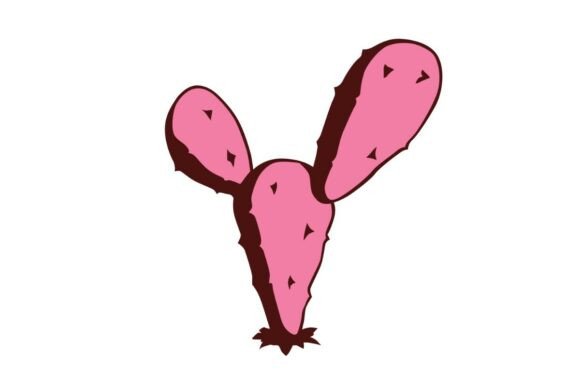Pink Prickly Pear Cactus: A Designer’s Real-World Review